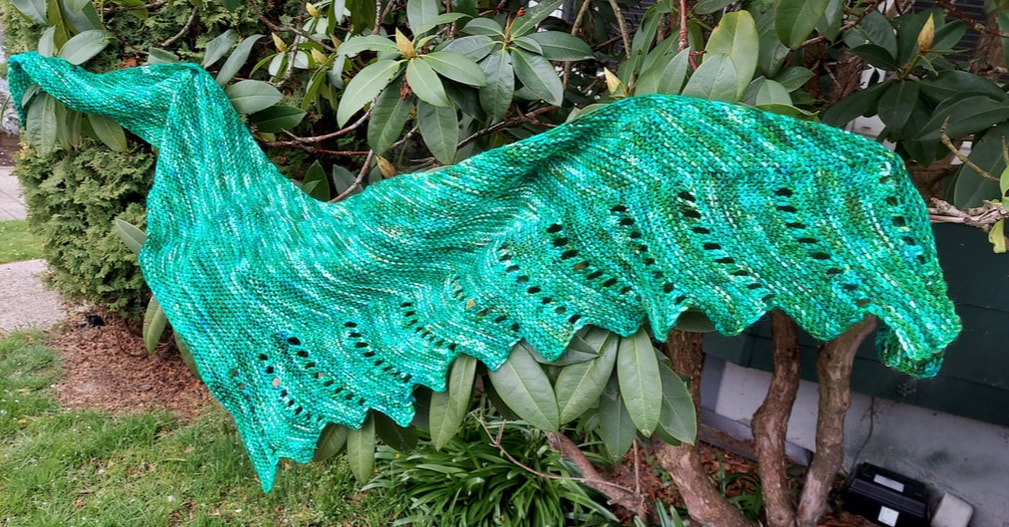 Green knit shawl draped over hedges